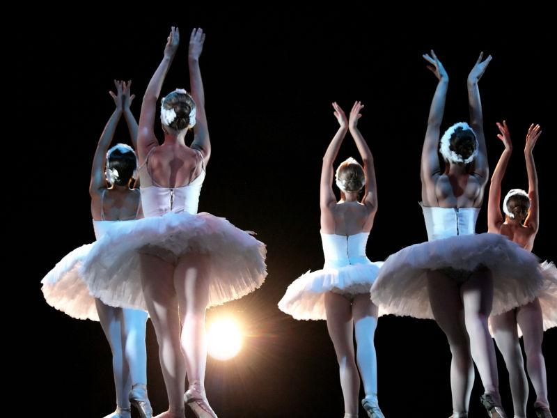 塑胶地板的使用范围及种类