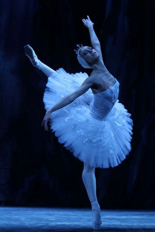 PVC塑胶地板与其它材料地板之比较