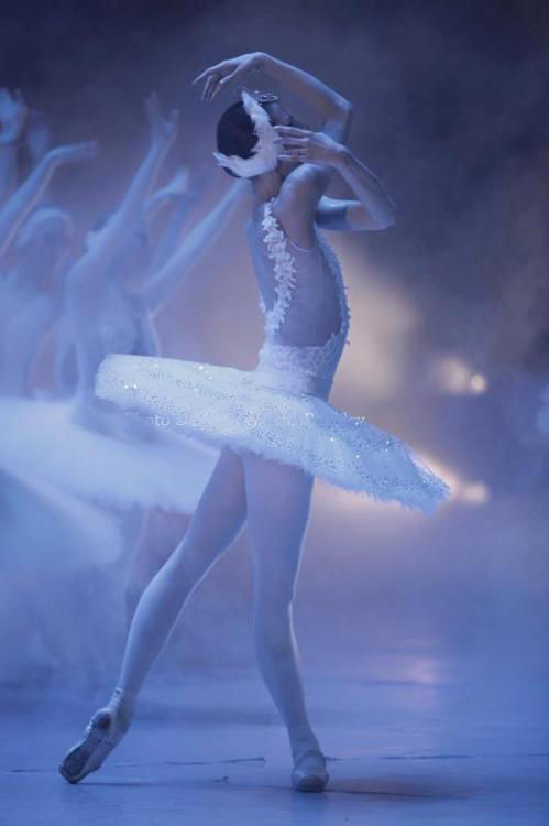 详解舞台木地板的规格和颜色