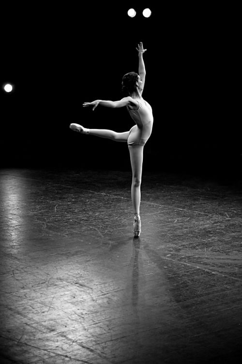 PVC塑胶地板和木塑地板的区别