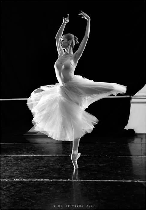 目前舞台木地板价格如何?