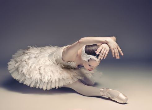 目前舞台木地板价格如何?