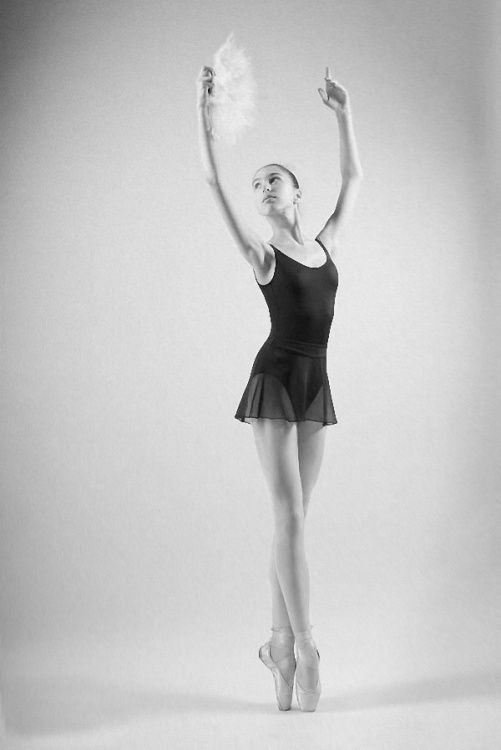 舞台木地板厂家价格表及功能说明