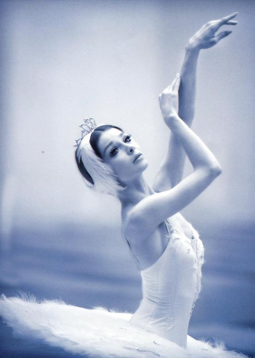 pvc塑胶地板成品保护及地板养护