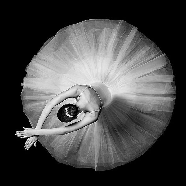 大型舞蹈室木地板哪个品牌好