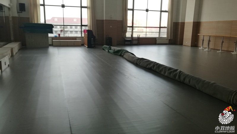 北京戏曲艺术职业学院5001进口灰小丑地胶案例4