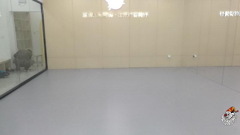 北京小马善舞舞蹈室5005浅灰色小丑地胶案例2